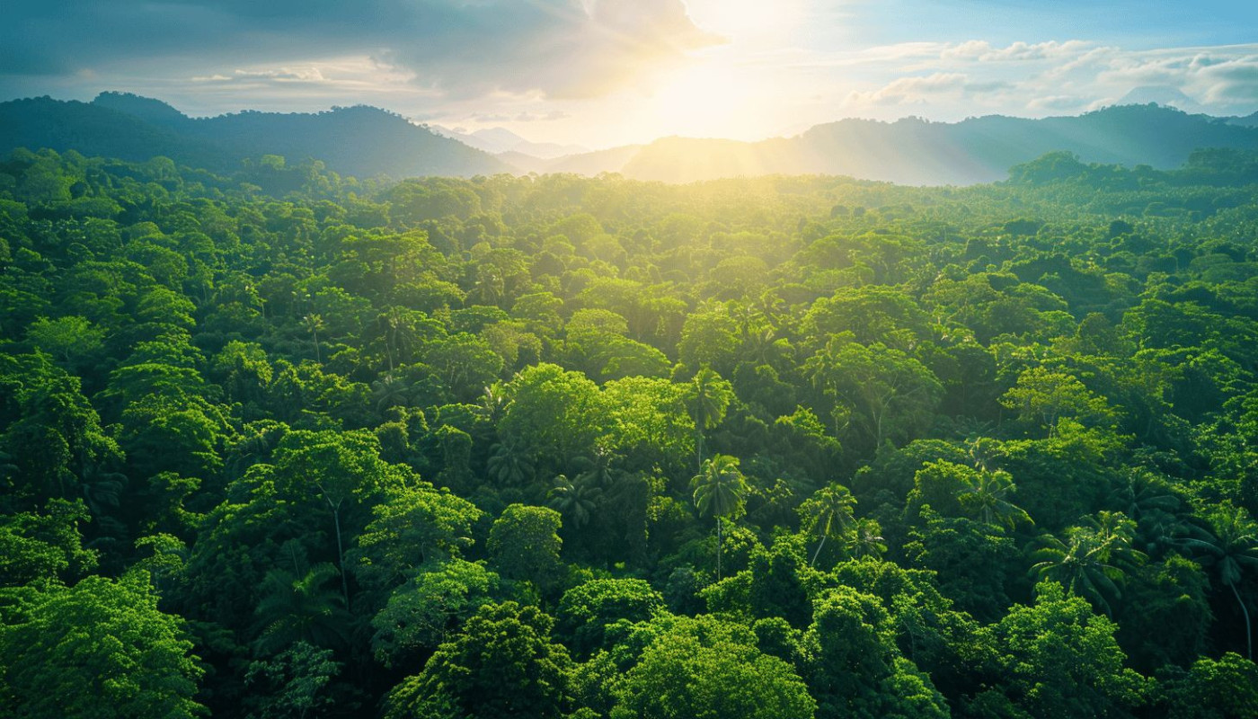 Économie verte et responsabilité d'entreprise Initiatives rentables pour un impact durable